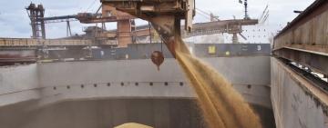 Братчук розповів коли почнеться вивезення зерна з портів України